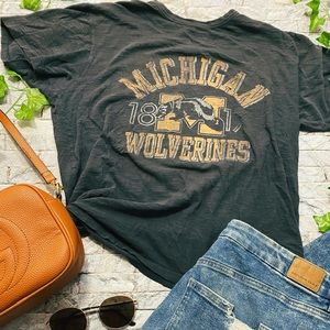 Vintage Insp Michigan Wolverines Distresse…